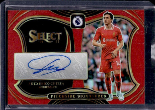 Federico chiesa auto 2024 - chiesa,